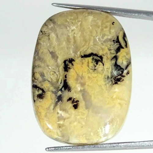 00cts naturel tigre - 36.00cts,