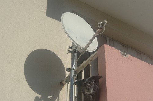 Antenne parabole satellite - antenne,