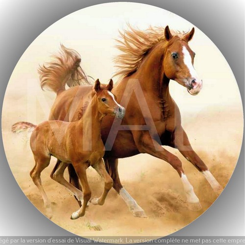 Cheval décoration gâteau - cheval.,