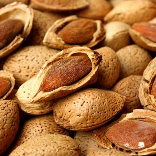 Youdreamitaly amandes - youdreamitaly,