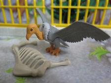 VAUTOUR clair et carcasse