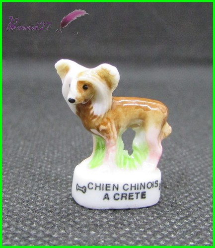 Feve les races - races, dog
