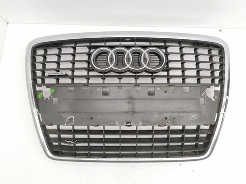 Audi 4e 2009 grille - d3,