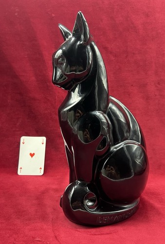 Cat katze chat - chat, lemanceau