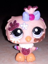 Petshop chouette 2345