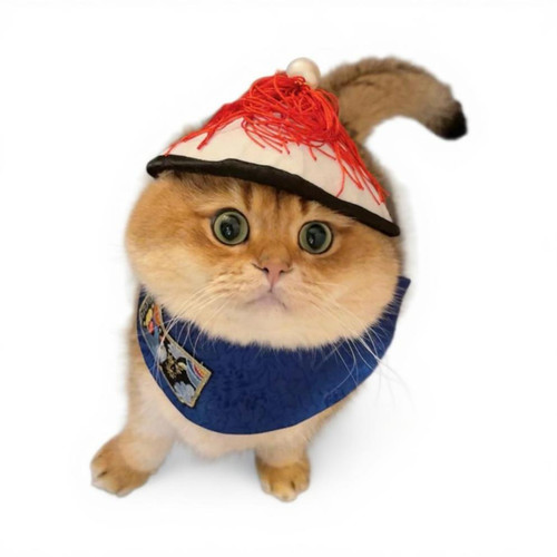 Costume chien bandana - costume,