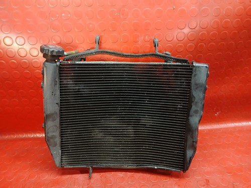 Radiateur eau triumph - d'eau,