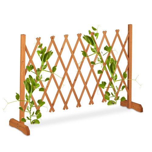 Tuteur tomates en - tuteur, tomates,