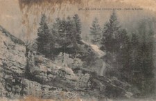 Livre de Consolation Vallée - Forêt De Sapins