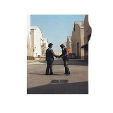 LP Pink Floyd Wish You Were