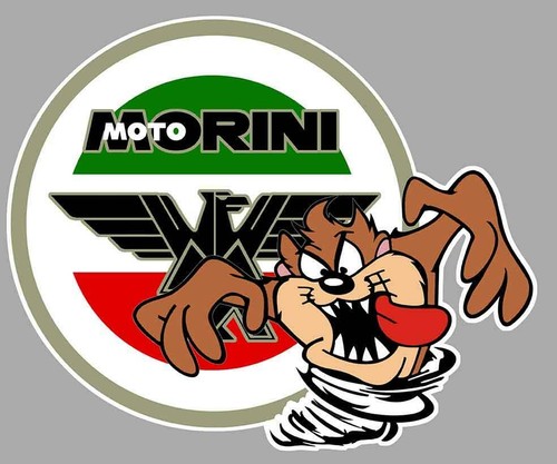Moto morini right taz droit - moto,