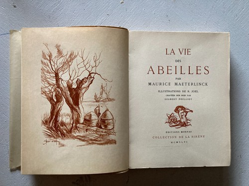 R10 maeterlinck vie - r10-maeterlinck:,