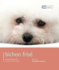 Bichon Frise: Bichon Frise -