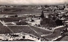 33 - MARGAUX - SAN41272 - Château Palmer - Poste Cantenac par Margaux - Cru c