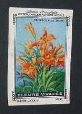 CHROMO PETER CAILLER KOHLER