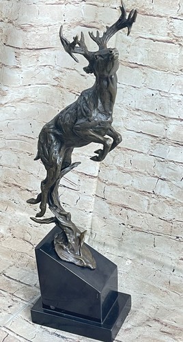 élan cerf buck renne - buck, faune