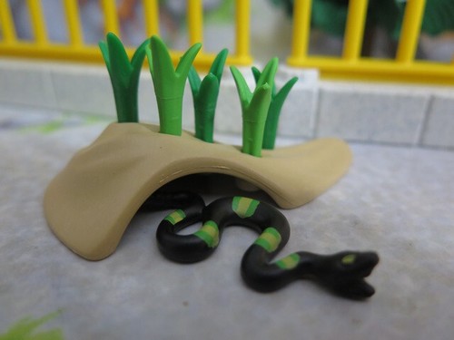 Serpent noir vert - noir, et