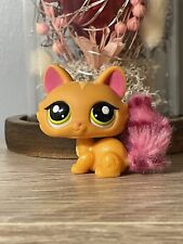 ?Petshop Chat  SPHYNX 2576?