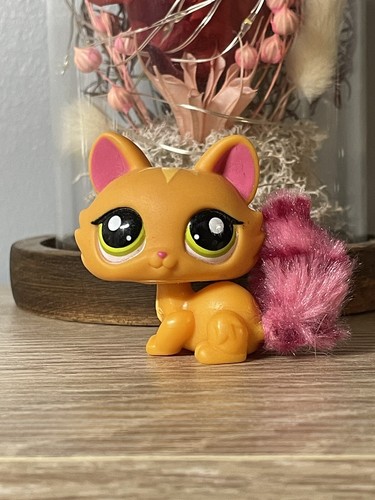 Petshop chat sphynx - 🌺petshop,