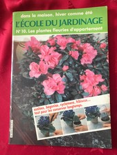 PLANTE/JARDIN/ FLEUR/ VIVACE/ ARBUSTE/MALADIE/CULTURE/PLANTE FLEURIE APPARTEMENT