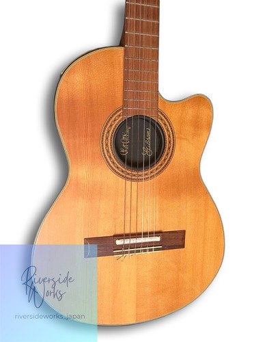 Gibson chet atkins - chet, model