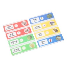 8Pcs Enfants Microscope