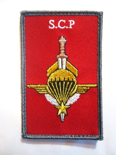 Ecusson des parachutistes - ecusson,