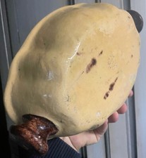 Etienne Noël Dieulefit Plat