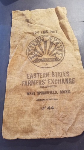 Burlap sack eastern - burlap, states