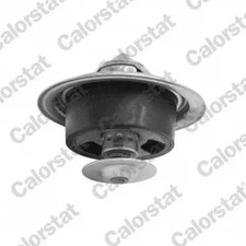 Thermostat TBS1001.82