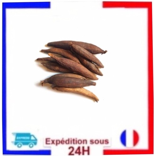 Lot graines de la - 3,