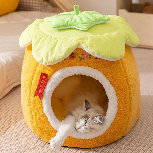 Maison pour chat - , et