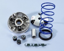 Variateur POLINI Hi-Speed -