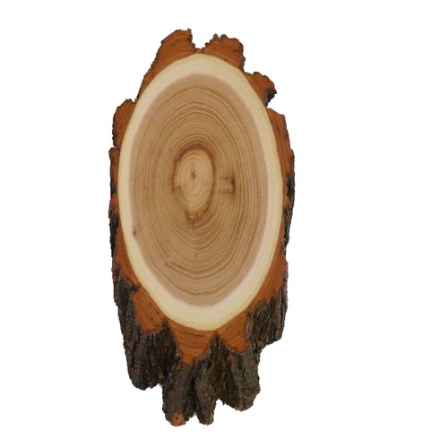 Plaque trophée acacia - plaque, en