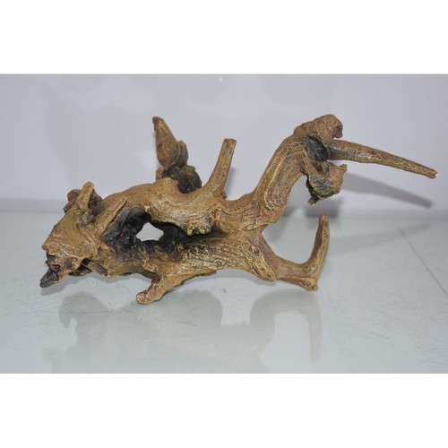 Aquarium mopani arbre - mopani,