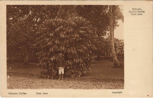 Ethnic types oost java - pc,