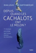 Depuis quand les cachalots ont