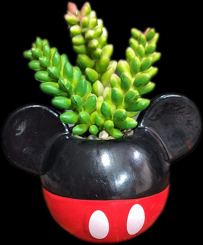 Disney mickey mouse head - mickey,