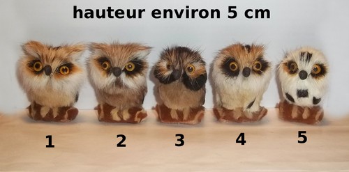 Chouette hibou animal - chouette,,