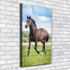 Tulup Tableau Sur Toile Image Imprimé 50x100cm - Cheval sur le terrain