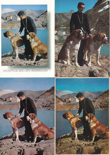 Lot cartes postales cards - postales,