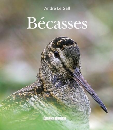Bécasses andré gall - bécasses,