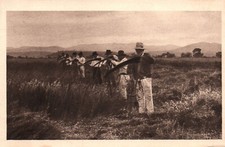 CPSM PF Chocolat Klaus - Morteau France - Fauchage des champs