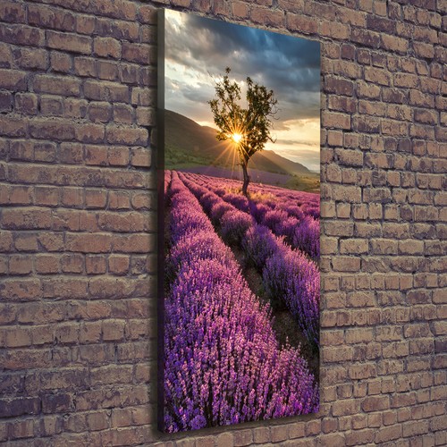 Tulup tableau sur - tableau, toile