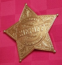 insigne police américaine 