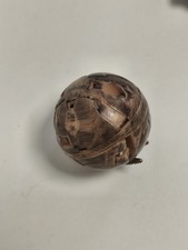 Figurine Bakugan dragon doré