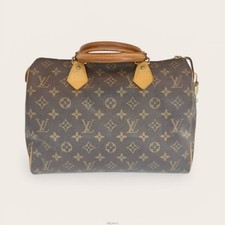 Louis Vuitton Sac à main