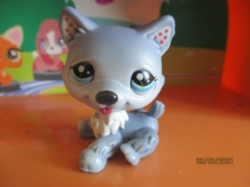 Petshop chien husky - petshop,