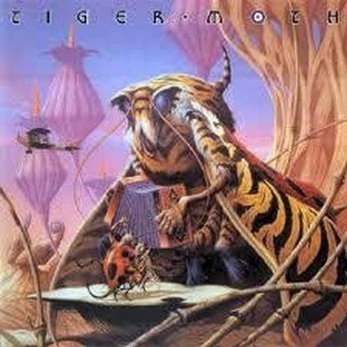 Tiger moth album éponyme - moth,