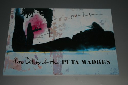 Peter doherty the puta - peter,